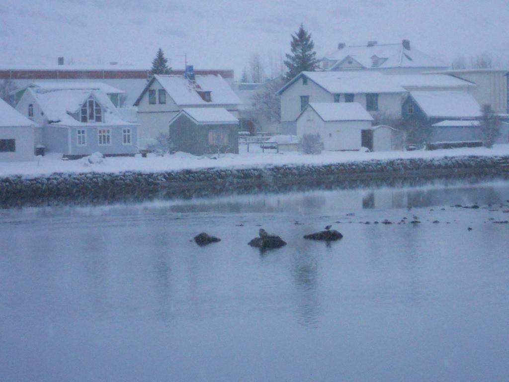 The Old Apothecary Hotel Egilsstaðir Buitenkant foto